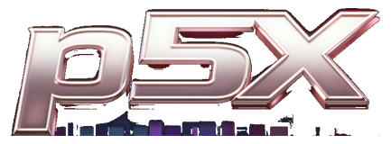 p5x logo
